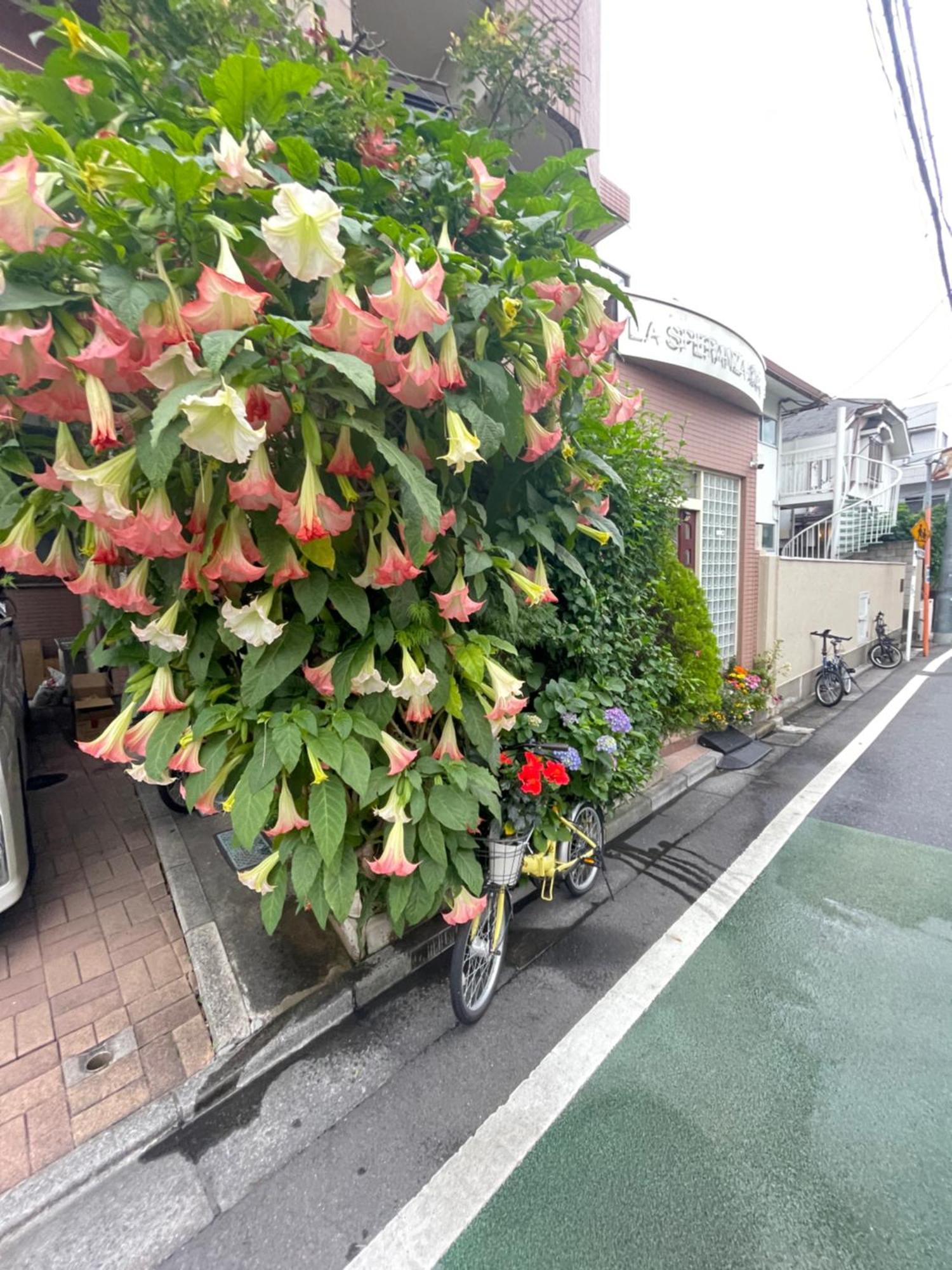 新宿庭院の屋-Shinjuku Garden Home -28 Square Meters King Size Bed Garden Room Tokyo Luaran gambar