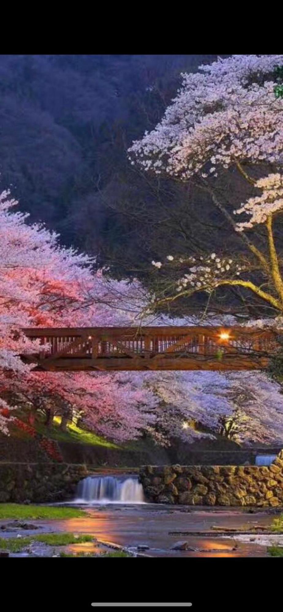 新宿庭院の屋-Shinjuku Garden Home -28 Square Meters King Size Bed Garden Room Tokyo Luaran gambar